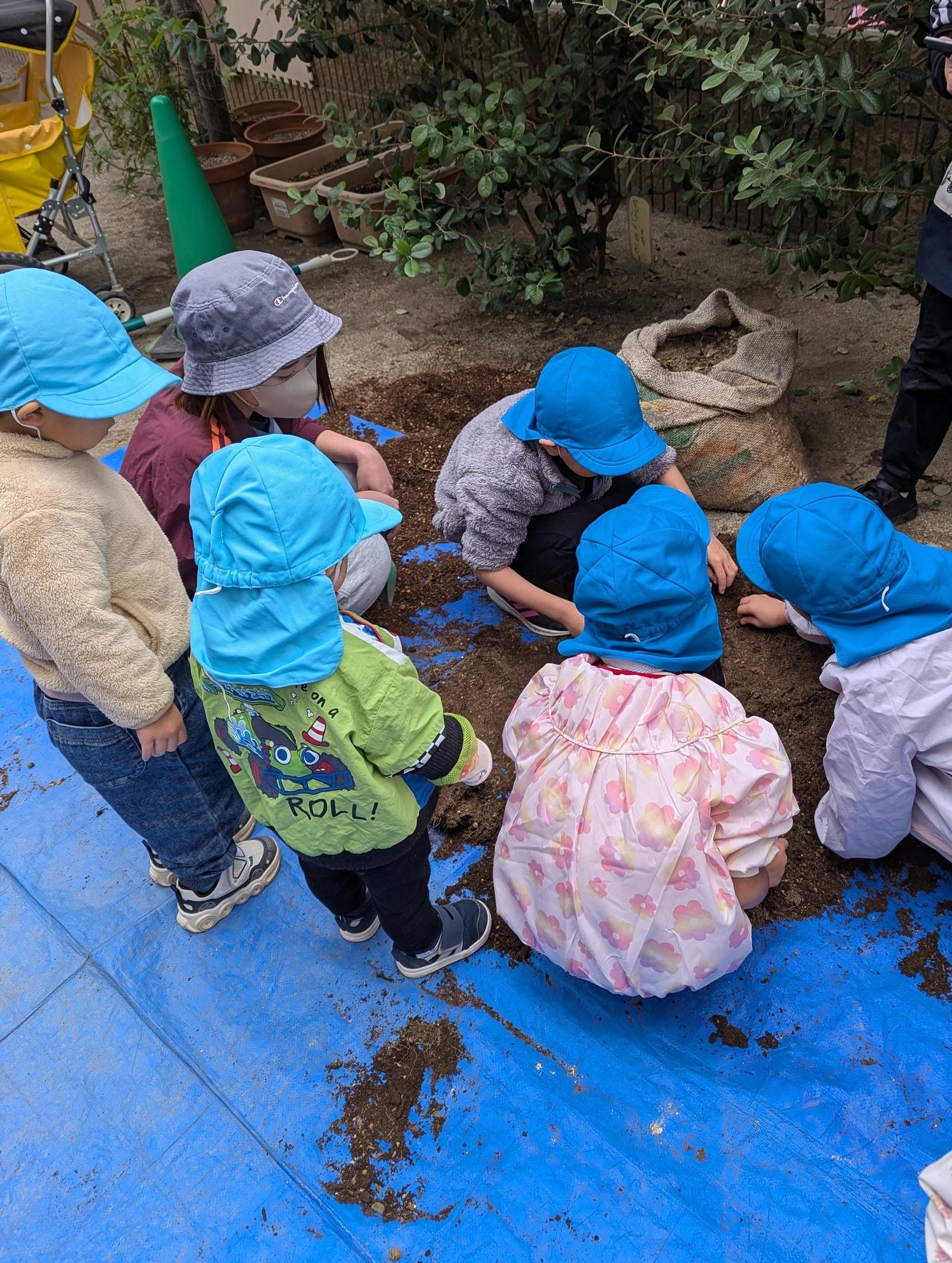 秋の収穫、冬の野菜栽培スタート